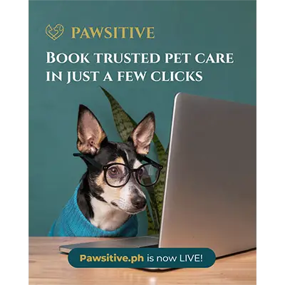 Pawsitive educational pet care social content