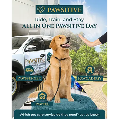 Pawsitive pet care services social content